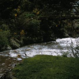 Bridge, Beechwood Lane, Te Marua.