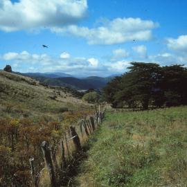 Fault Line; Emerald Hill; Circa 1980s
