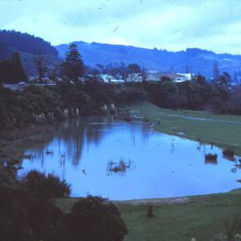 Te Haukaretu Park; Duck Pond; Circa 1980s
