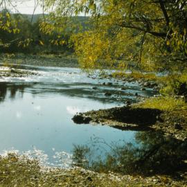 Te Awa Kairangi / Hutt River near Wilkeses' 