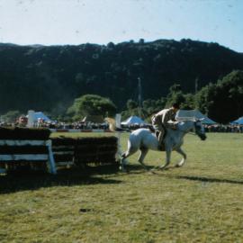 A & P show, Trentham Memorial Park; showjumping