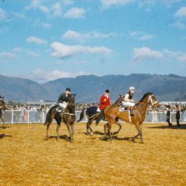 Trentham racecourse; birdcage; Defaulter, Wellington Cup winner, 1956?