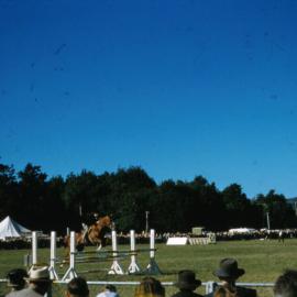 A & P show, Trentham Memorial Park; showjumping