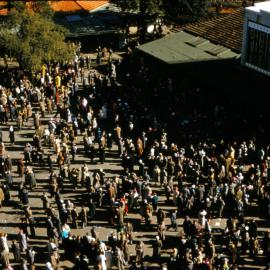 Trentham racecourse; 'Peasants and Tote'