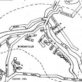 Birchville; number of community names reduced.
