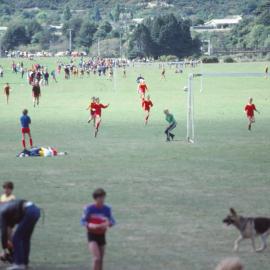 Awakairangi Park; Junior Football, circa 1980s