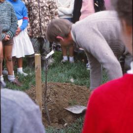 Arbor Day 1987