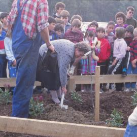 Arbor Day 1987; Councillor Shirley Russell plants a tree in Trentham Memorial Park.