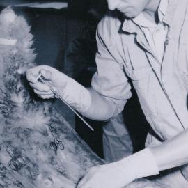Wallaceville Research Centre staff; Keith McSporran in the Metabolism Unit - date unknown
