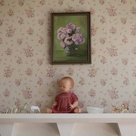 Birch Hill 2017; master bedroom; Judy on the mantelpiece