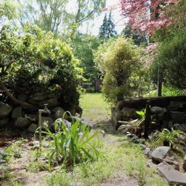 Birch Hill 2017; remains of fernery