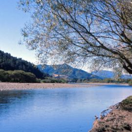 Te Awa Kairangi / Hutt River at Barton's Bush; 1969