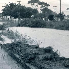 Flood, 1976; Silverstream, ref: 4 —  2 
