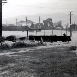 Flood, 1976; Silverstream, ref: 4 —  3 