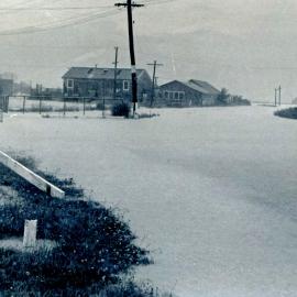 Flood, 1976; Silverstream, ref: 4 —  4