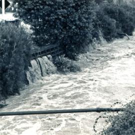 Flood, 1976; Silverstream, ref: 4 —  7