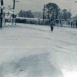 Flood, 1976; Silverstream, ref: 4 —  8