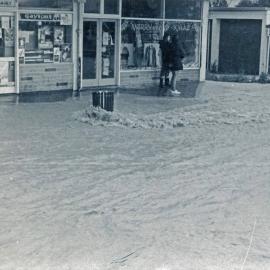Flood, 1976; Silverstream, ref: 4 —  9