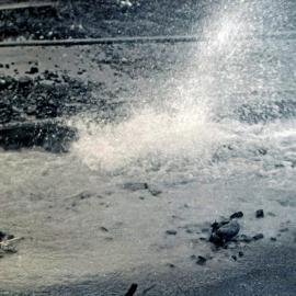 Flood, 1976; Silverstream, ref: 4 — 18