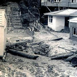 Flood, 1976; Silverstream, ref: 4 — 19