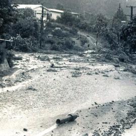 Flood, 1976; Silverstream, ref: 4 — 20