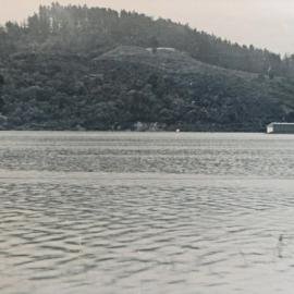 Flood, 1976; Silverstream, ref: 5 —  2