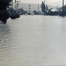 Flood, 1976; Silverstream, ref: 5 —  3