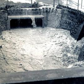 Flood, 1976; Silverstream, ref: 5 —  4 