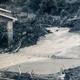 Flood, 1976; Silverstream, ref: 5 —  7