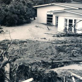 Flood, 1976; Silverstream, ref: 5 —  8