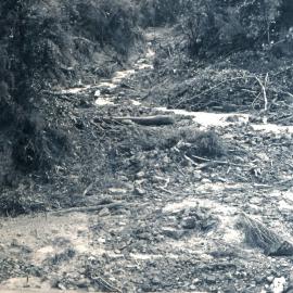 Flood, 1976; Silverstream, ref: 5 —  9