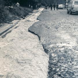 Flood, 1976; Silverstream, ref: 5 — 12