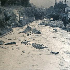 Flood, 1976; Silverstream, ref: 5 — 14