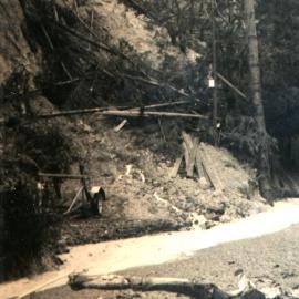 Flood, 1976; Silverstream, ref: 5 — 17