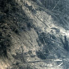 Flood, 1976; Silverstream, ref: 5 — 18