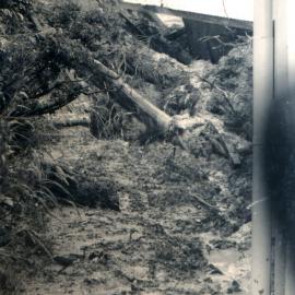 Flood, 1976; Silverstream, ref: 5 — 20 