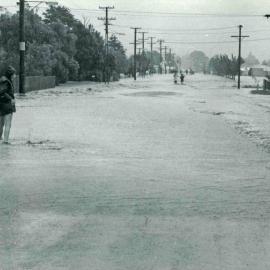 Flood, 1976; Silverstream, ref: 4 — 10