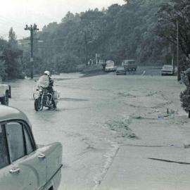 Flood, 1976; Silverstream, ref: 4 — 11