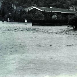 Flood, 1976; Silverstream, ref: 4 — 12