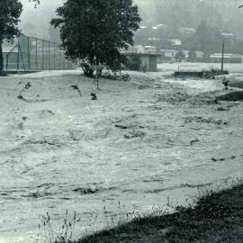Flood, 1976; Silverstream, ref: 4 — 13