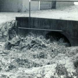 Flood, 1976; Silverstream, ref: 4 — 14