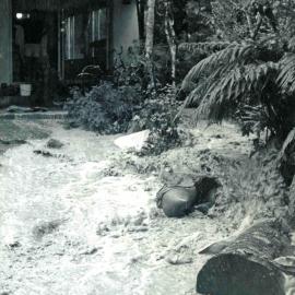 Flood, 1976; Silverstream, ref: 4 — 15