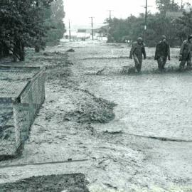 Flood, 1976; Silverstream, ref: 4 — 17