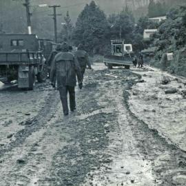 Flood, 1976; Silverstream, ref: 5 —  5