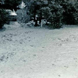 Flood, 1976; Silverstream; ref: 4 — 16