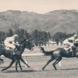Horse race, Trentham Racecourse