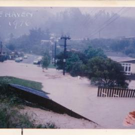 Flood, 1976; Silverstream; Brigade series; Pinehaven