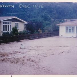 Flood, 1976; Silverstream; Brigade series; Pinehaven