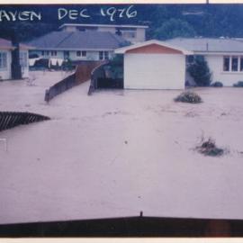 Flood, 1976; Silverstream; Brigade series; Pinehaven