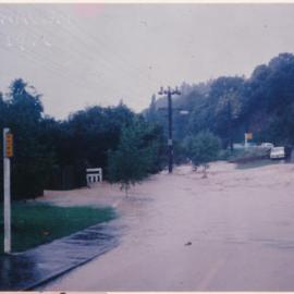 Flood, 1976; Silverstream; Brigade series; Pinehaven